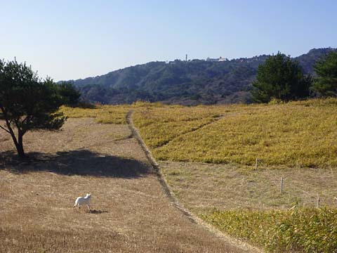 0912e.jpg
