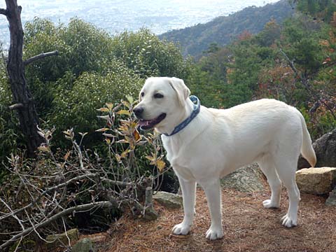 09Autumn-c.jpg