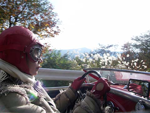 09Autumn-d.jpg