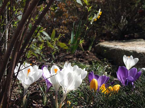 100314a.jpg
