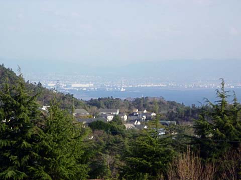 100321c.jpg