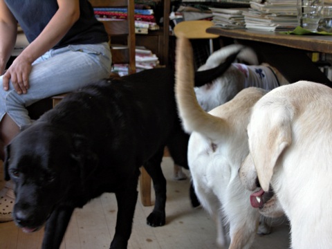 100828e.jpg