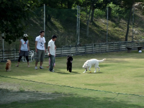 100912j.jpg