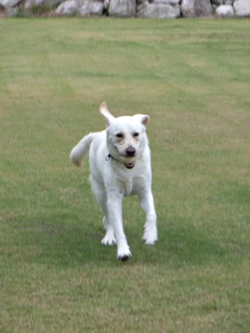 100912n.jpg