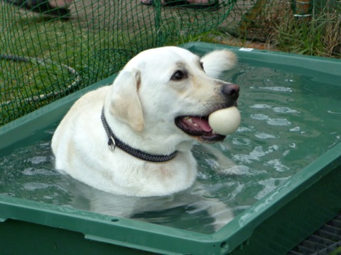 100912o.jpg