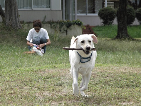 100926i.jpg