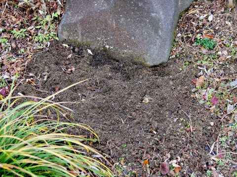 101219n.jpg