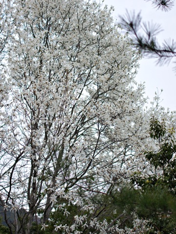 110410o.jpg