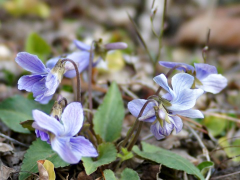 110410w.jpg