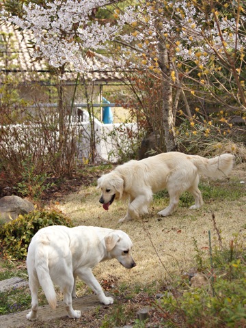 110416i.jpg