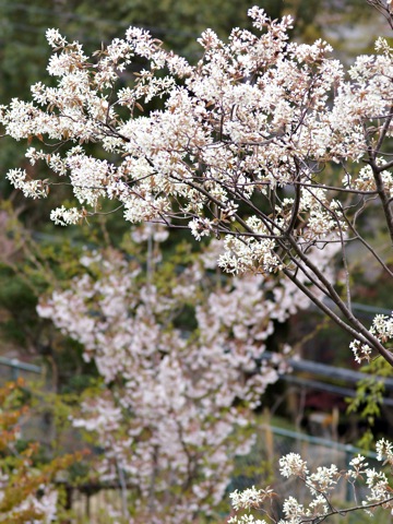 110424a.jpg