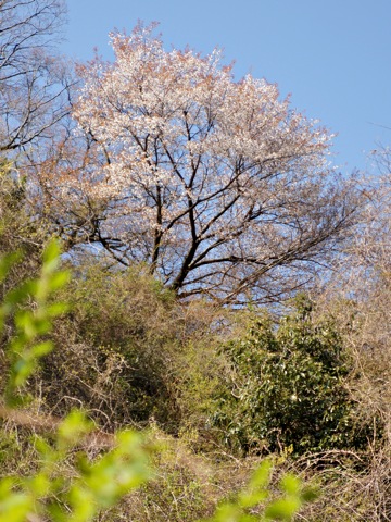 110429b.jpg