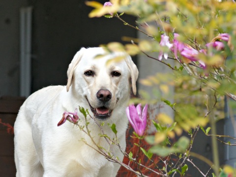 110429r.jpg