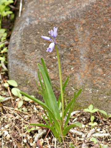 110429s.jpg