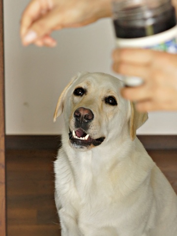 110504d.jpg