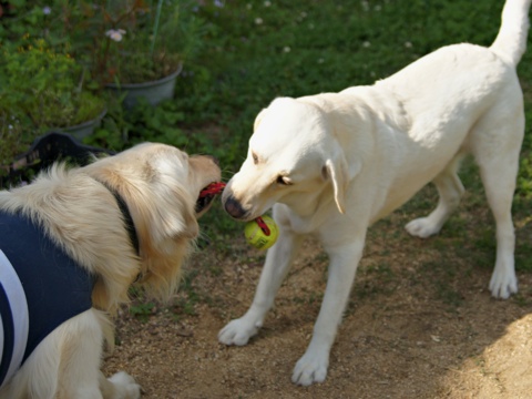 110514d.jpg
