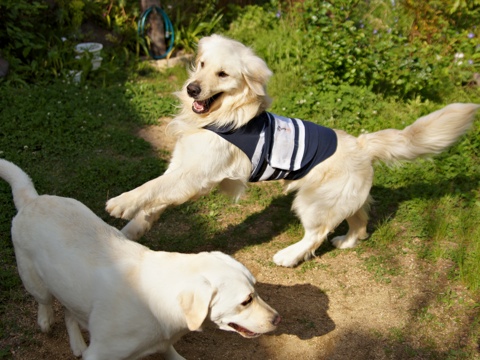 110514f.jpg