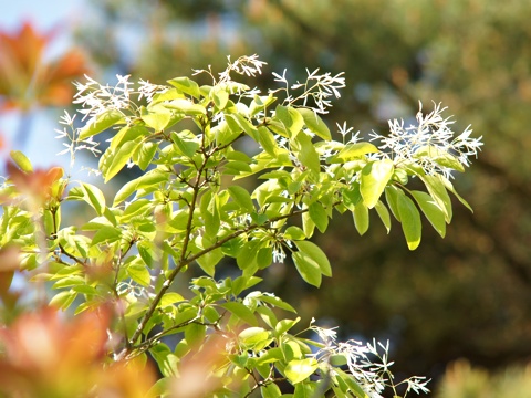 110526a.jpg