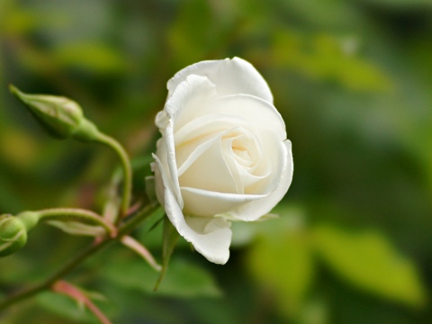 110531h.jpg