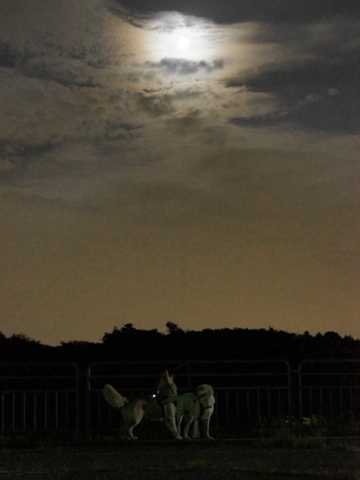 110912b.jpg