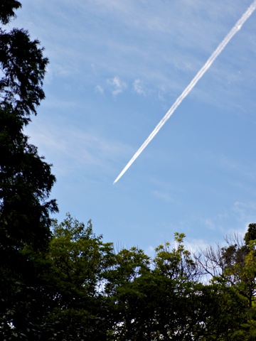 111001a.jpg