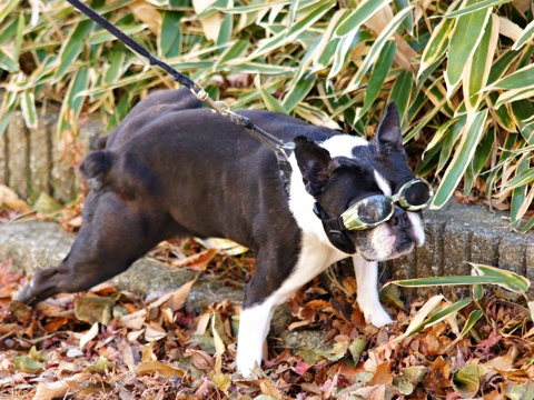111223e.jpg