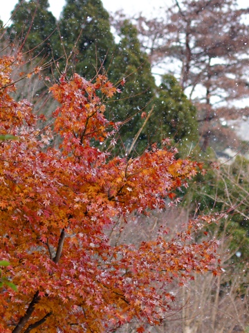 111223h.jpg