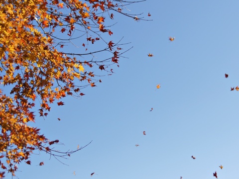 111230e.jpg