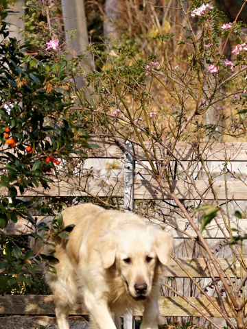 120101d.jpg