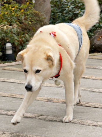 120104h.jpg