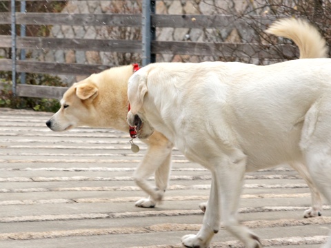 120104i.jpg