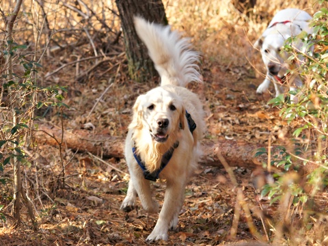 120109c.jpg