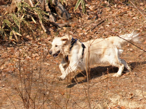 120109h.jpg