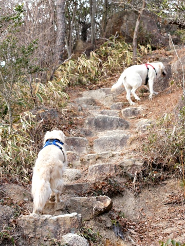 120117e.jpg