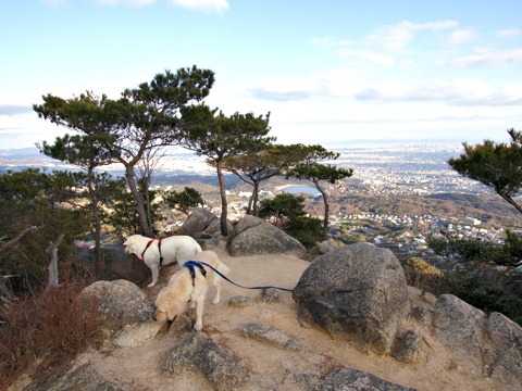 120117h.jpg