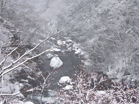 120212e.jpg