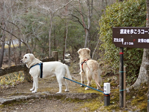 120212m.jpg