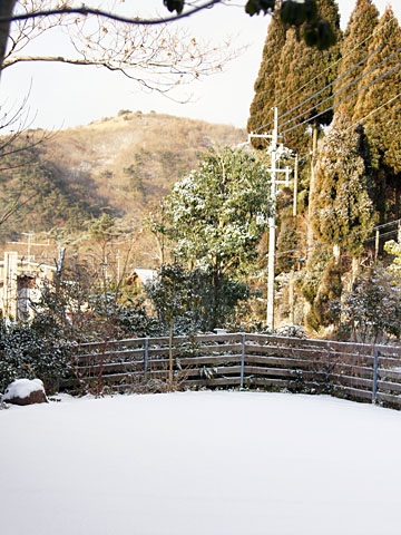 120218a.jpg