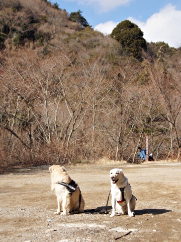 120219b.jpg