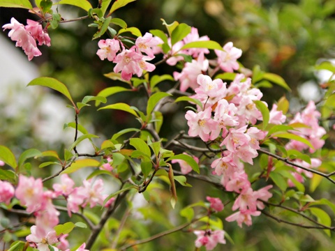 120429n.jpg