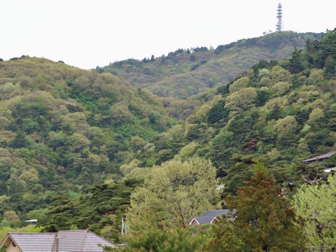120503d.jpg