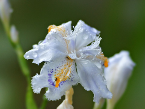 120503m.jpg