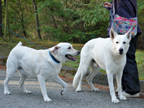 120505d.jpg