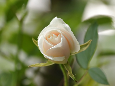 120512i.jpg