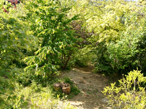 120513h.jpg