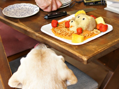 120519d.jpg