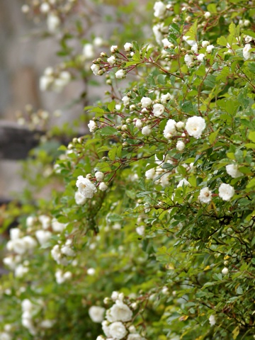 120609a.jpg