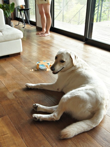120811e.jpg