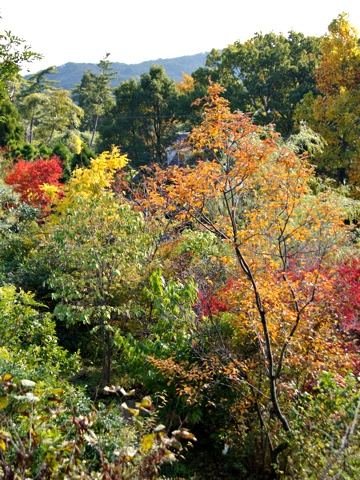 121101a.jpg