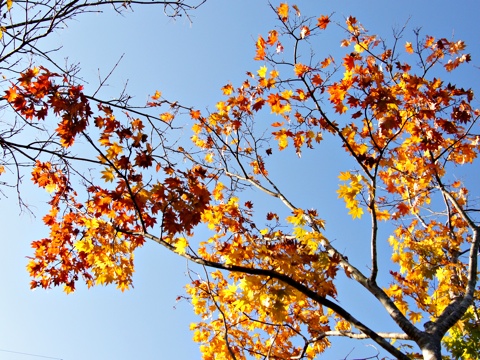 121103a.jpg
